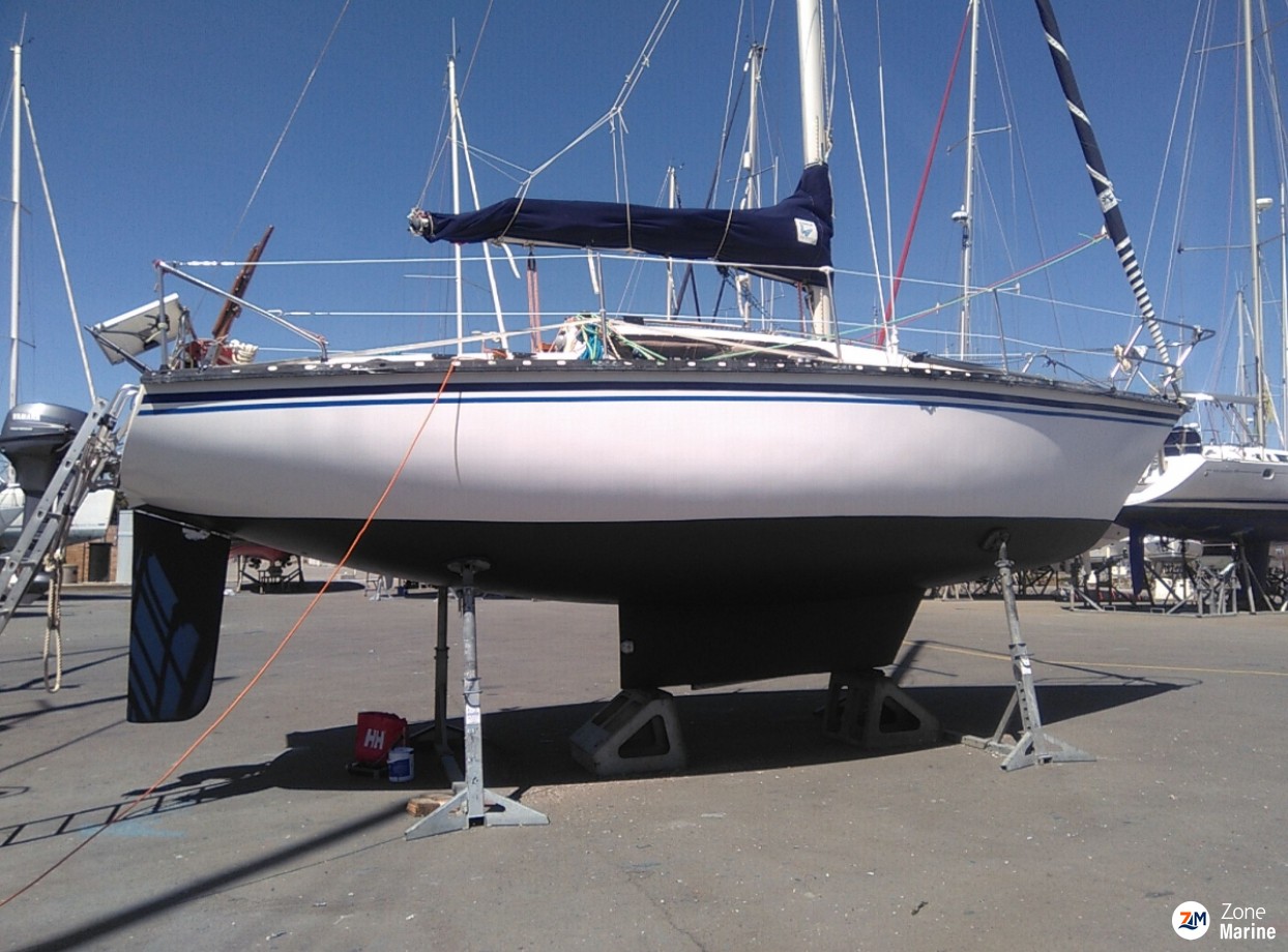 Kelt 8 DL