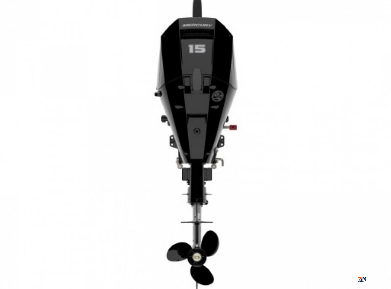 Moteur Mercury ME-F15 EFI MH