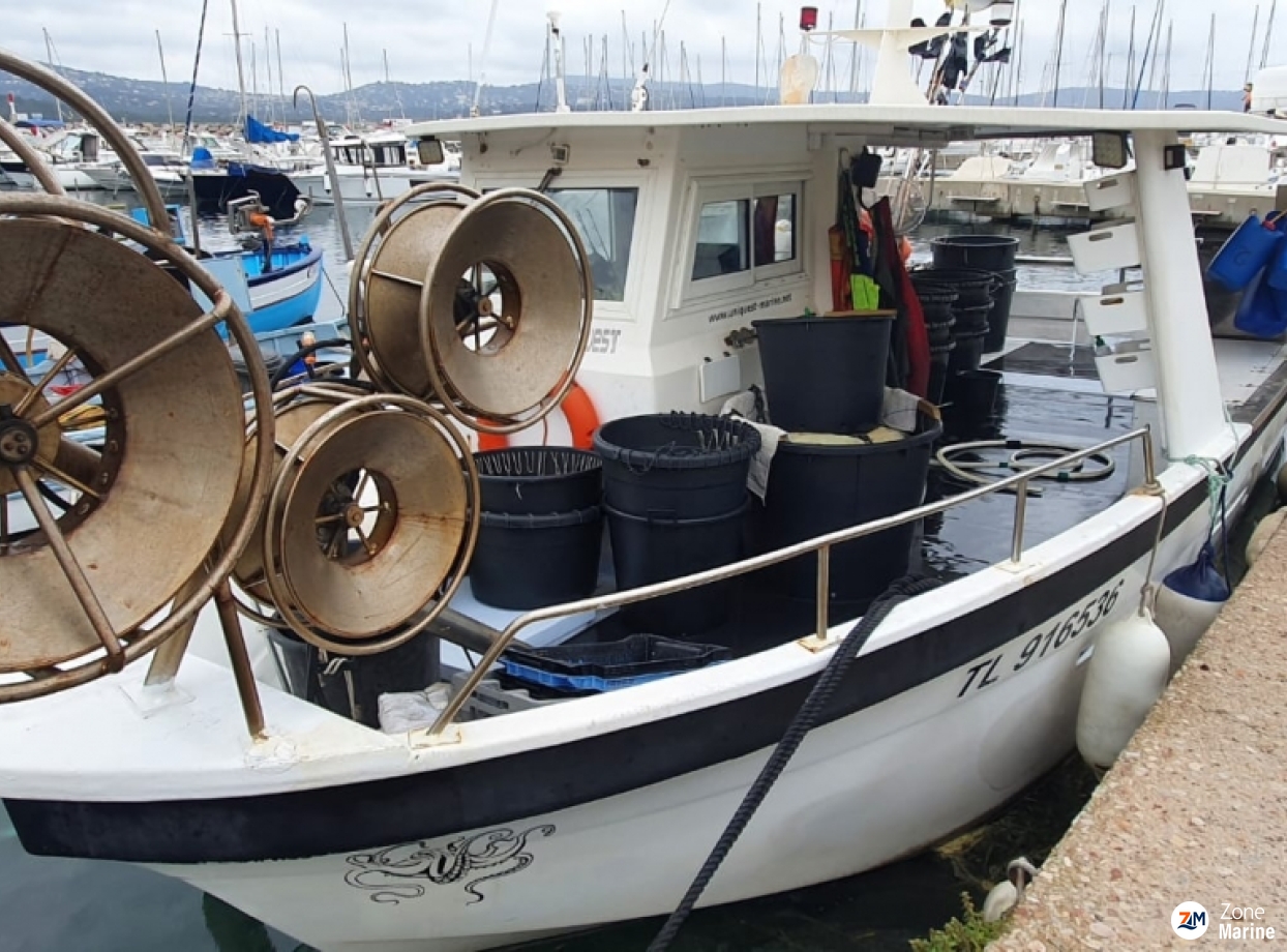 Uniquest pro fishing cruiser 32