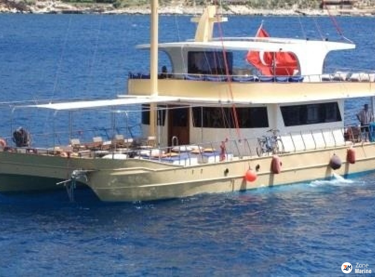 Catamaran à moteurs de 20 x 8 m année 2016 pour les excursions Daily animation réceptif