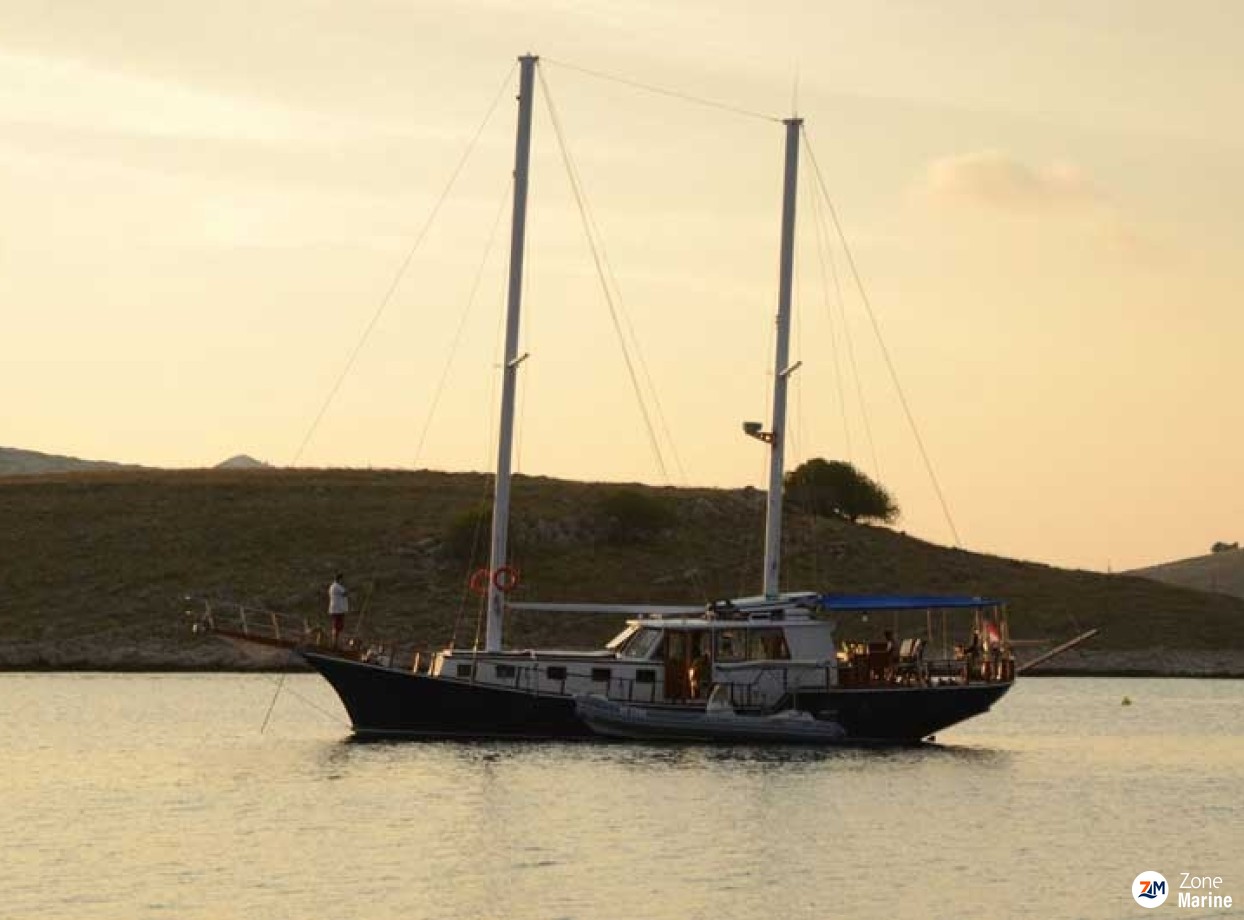 Goélette rénové de 20 m tout équipé 6 cabines pour 12 invités. Moteurs 2 x 140 HP Volvo. Flag Croatie