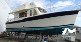 MAINSHIP 34 DL