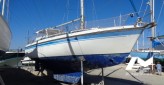 kirie 33