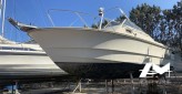 Fjord 24