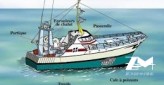 Recherche armateur de bateau de peche