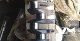 Vilebrequin crankshaft NIIGATA 6NSD-G