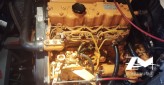Moteur diesel Vétus VH4.65