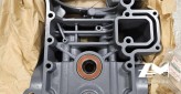 Carter d’échappement Suzuki 51110-90822-OEP