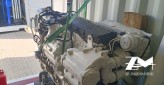FPT IVECO CURSOR 9 / C87ENTM62 404 Kw / 550 HP