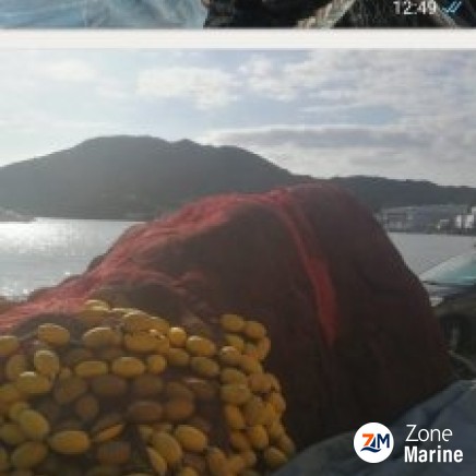Vends senne a sardines et anchois
