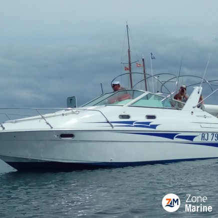 vends vedette janneau de 8m30