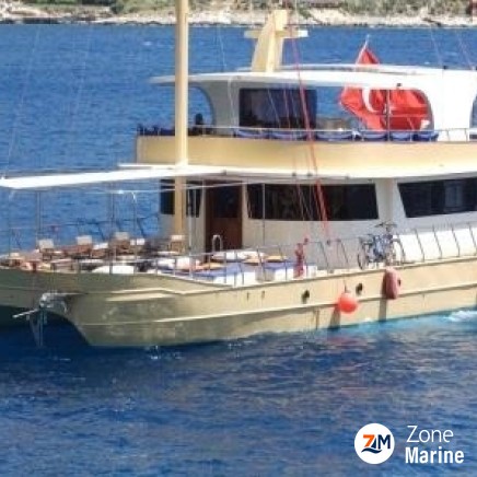 Catamaran à moteurs de 20 x 8 m année 2016 pour les excursions Daily animation réceptif