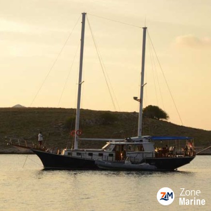 Goélette rénové de 20 m tout équipé 6 cabines pour 12 invités. Moteurs 2 x 140 HP Volvo. Flag Croatie
