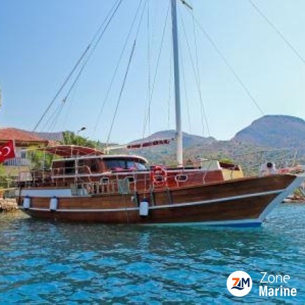  Goélette 15 m année 2014 équipée aménagée avec 4 cabines 8 passagers