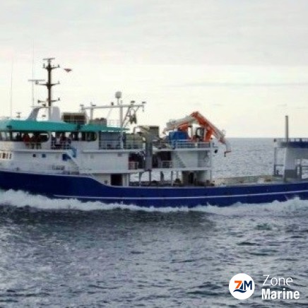 Thonier senneur neuf coque acier de 47 x 16 m moteurs 3600 CV avec 2 grues et 2 annexes en acier