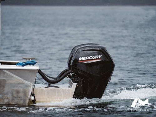 Moteur Mercury F115 EFI ELPT