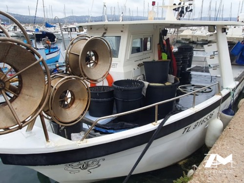 Vedette Uniquest pro pêche 32