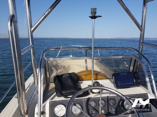 Boston wahler 22outrage