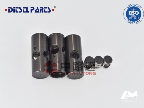 Ecrou de Nez d'injecteur 1 463 104 503
