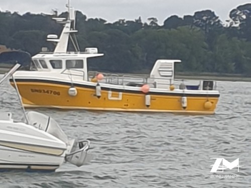 Bateau 9.9