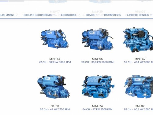 Moteur SOLE DIESEL