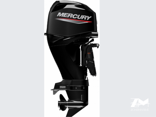 Moteur Mercury F40 EFI ELPT