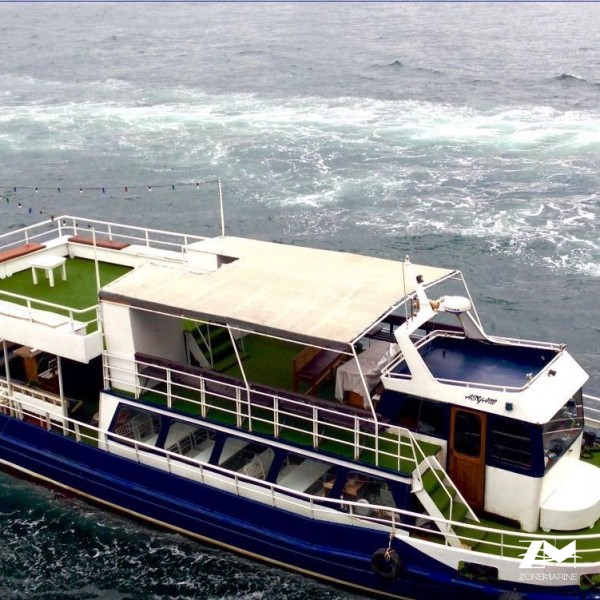 Bateau de commerce passagers restaurant 16 m rénové en 2015 89000.00€ Zone Marine