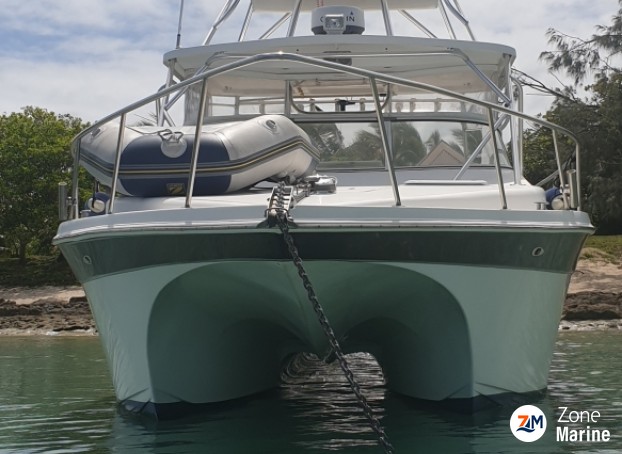 POWER CATAMARAN PRO FISH