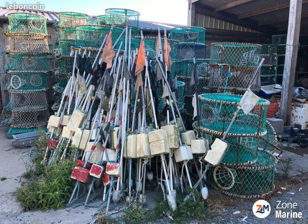 Casiers à seiches