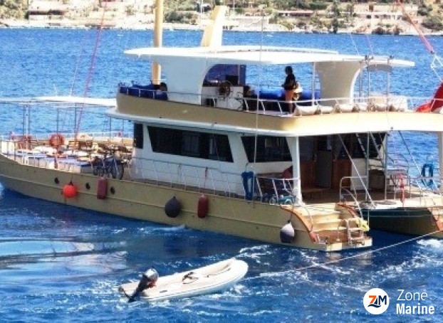 Catamaran à moteurs de 20 x 8 m année 2016 pour les excursions Daily animation réceptif