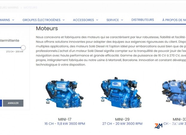 Moteur SOLE DIESEL