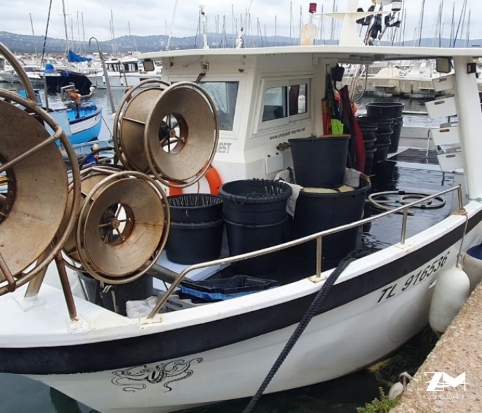Vedette Uniquest pro pêche 32