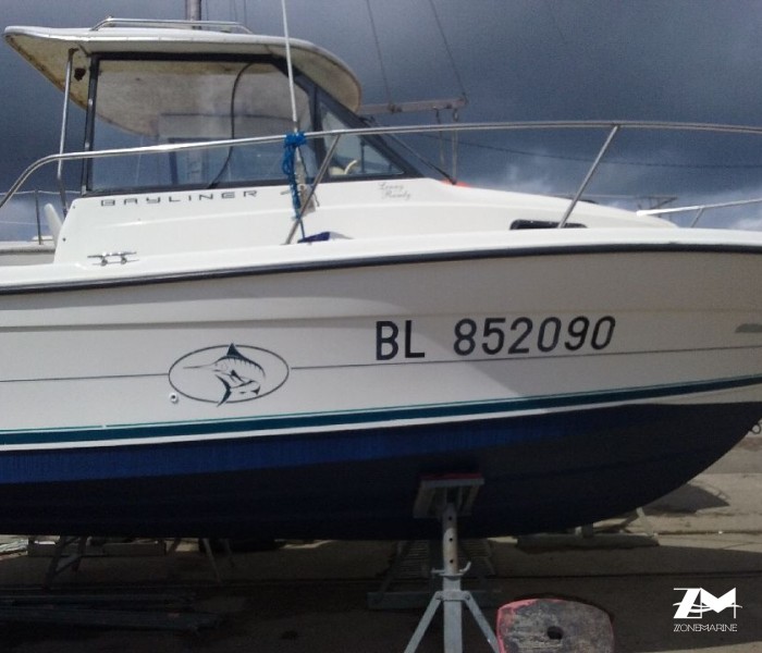 Bateau plaisance pêche 