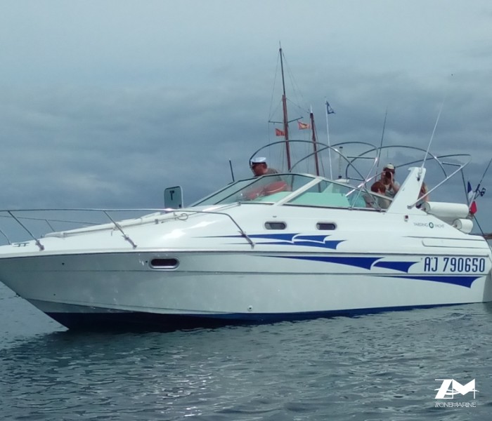 vends vedette janneau de 8m30