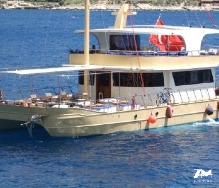 Catamaran à moteurs de 20 x 8 m année 2016 pour les excursions Daily animation réceptif