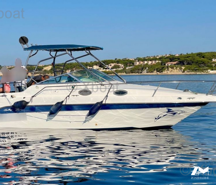 SEA RAY 250 SUNDANCER