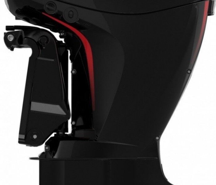 Moteur Mercury F150 EFI PRO XS
