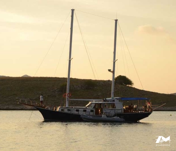 Goélette rénové de 20 m tout équipé 6 cabines pour 12 invités. Moteurs 2 x 140 HP Volvo. Flag Croatie