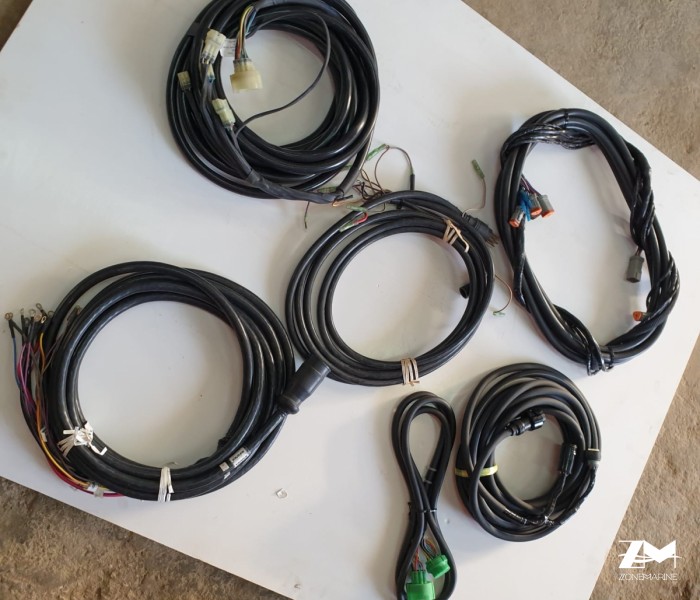 Faisceaux moteur Hors bord-In bord