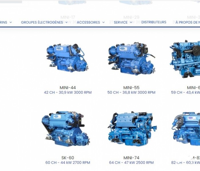 Moteur SOLE DIESEL